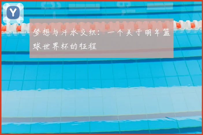 梦想与汗水交织：一个关于明年篮球世界杯的征程