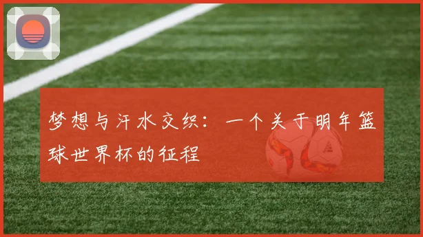 梦想与汗水交织：一个关于明年篮球世界杯的征程